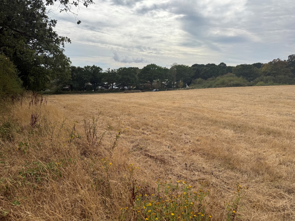 Lot: 43 - LAND WITH PLANNING FOR OVER 50,000 SQUARE FEET OF COMMERCIAL SPACE - View from secondary access